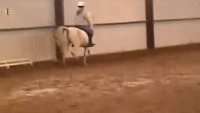 Chip.wmv смотреть онлайн