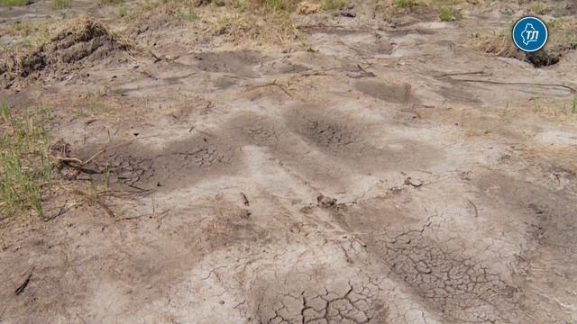 Тюменская компания инвестирует более 100 млн рублей в производство электрощитов и стеновых панелей смотреть онлайн