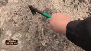 ТАЙГА. Эфир программы Тайны Чапман от 31.07.2024