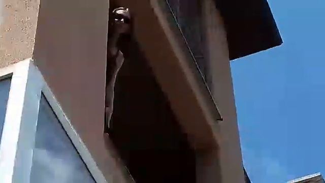 Беспредел застройщика в Сочи