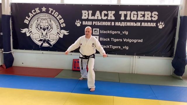 Домашняя тренировка для наших ТИГРОВ смотреть онлайн