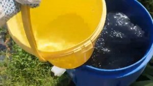 Огурцы слаще МЕДА! Делают раствор для подкормки Огурцов. Измельчитель садовый REDVERG RD-GS2800