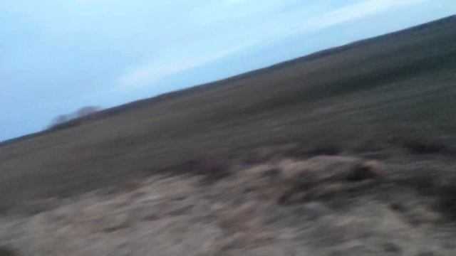 Два дня охоты на гуся. Охота на гуся 2024. Охота на гуся в Беларуси 23/24.03.24 смотреть онлайн