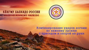 Комбинирование ударов ногами по нижнему уровню с приседом и опорой на руки. (Дан Тест)