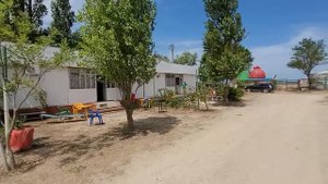 Дамы ищут холостяков! #Голубицкая. 10.07.2024 г. Кафе Терраса + Сациви! Семейка Николаевых