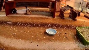 Зашли в гости к друзьям - Мир рассказов