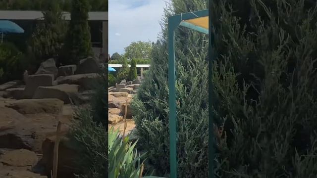 НЕ ХУЖЕ ЧЕМ В ТУРЕЦКИХ ОТЕЛЯХ // СЕРБИЯ СЛАНКАМЕН // ГДЕ ПРОВЕСТИ ВЫХОДНЫЕ смотреть онлайн