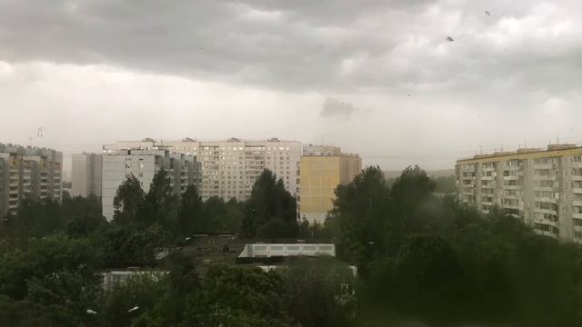 Павлино