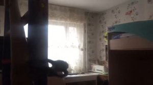 Продажа 3-х комнатной квартиры, площадью 53.7 кв.м в г. Реутов