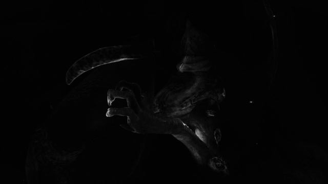 Destiny 2： Forsaken OST - Keep of Voices (Cursed Action) (Without Drums) смотреть онлайн