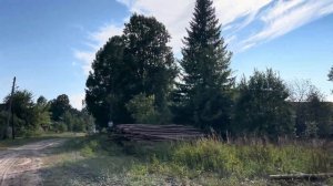 Сява. Нижегородская область. Август 2024