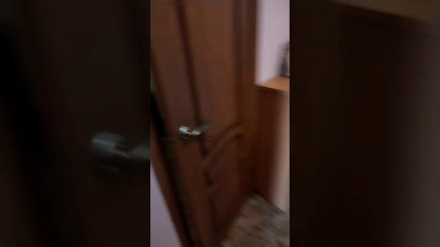 Аренда квартиры.Зеленоград, Андреевка. #аренда #квартира #недвижимость смотреть онлайн