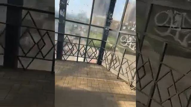 Испанский стыд и вонь встречают туристов у главного автовокзала в Воронеже смотреть онлайн