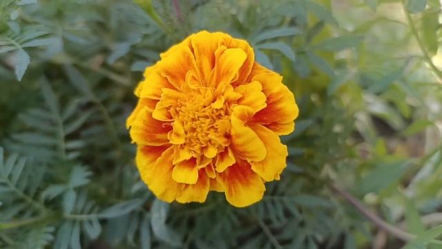 Обнаглевший муж возмущался по каждому поводу. Ответ Натальи его ошеломил смотреть онлайн