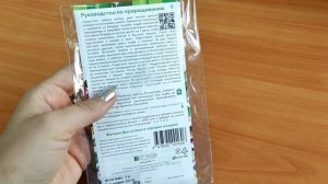 Выращивание плюмерии дома из семян