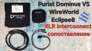 2024.10.27 XLR  PURIST AUDIO DESIGN Dominus 1.5 VS WireWorld Eclipse 8