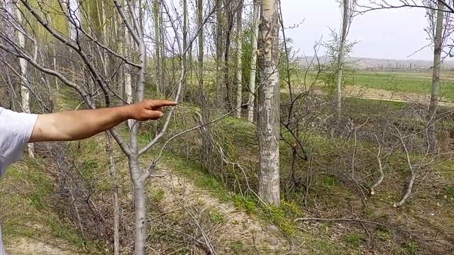 АЛА БУКА РАЙОНУ ТЕЗ АРАДА ОТУН САТЫЛАТ ТЕЛ.+996558626203 смотреть онлайн