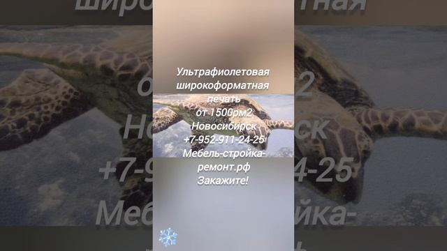 декоративные листовые материалы покрытия поверхности уф печать Новосибирск +7 952 911-24-25