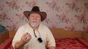 Сказка белого шамана. Ёжик и солнечные пчёлы. Сказка для просветления