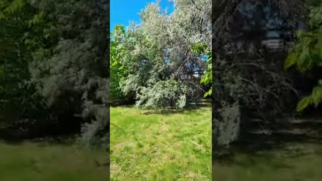 Про блоки и о том, что на самом деле блокирует твоё сознание.