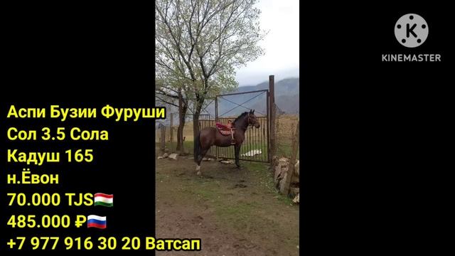 Хонахои Фуруши Арзон! (21.12.22) Аз 75.000 сомони дар Душанбе, Хучанд, Бохтар ва гайра! САВДО ТЧ