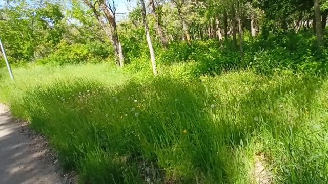 Узнав, что у снохи есть вторая квартира, свекровь не могла успокоиться, примчалась на разборки смотреть онлайн