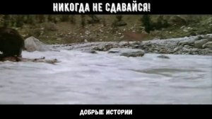 Никогда не сдавайся!