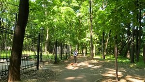 Решив проверить жениха иностранца, дочь богача притворилась бедной… А когда узнала план свекрови…