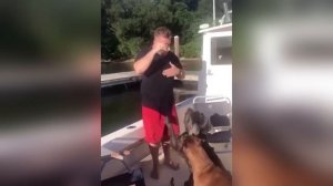 ЛУЧШИЕ ПРИКОЛЫ 2024 угар до слез тест на психику мемы смешные видео попробуй не засмеяться coub #75