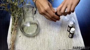 Защитный спрей от комаров своими руками1