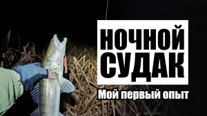 Ловля ночного судака с берега. Мой первый опыт. Ока, Нижний Новгород.