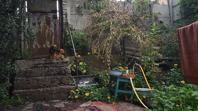 ОЛЯ ГРУЖЕННАЯ ГОСТИНЦАМИ ОТ ЖЕНИХА ПРИШЛА.🤣🤣🤣🤣🤣🤣🤣🤣 смотреть онлайн