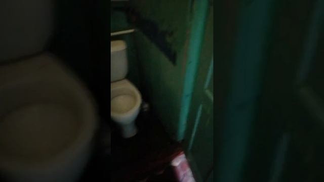 Больница или конюшня? Новошахтинск Ростовская область смотреть онлайн