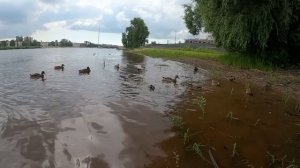 Богач, шутки ради, взял на переговоры уборщицу. А едва та заметила неточности в контракте и зачитал