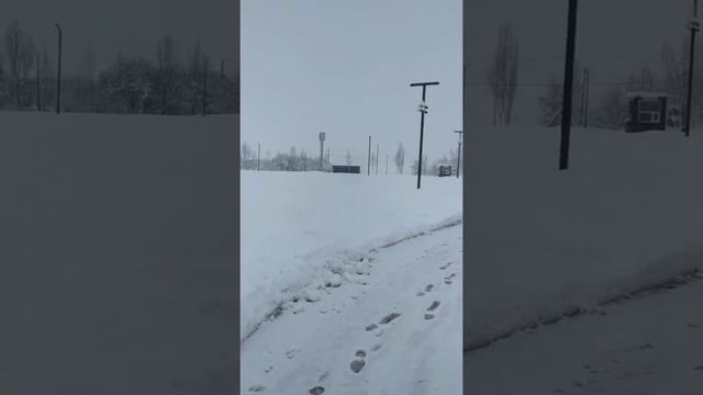 Парк Родные просторы, пос. Знаменский смотреть онлайн