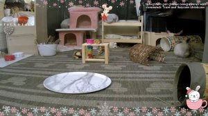 НАГЛАЯ СВЕКРОВЬ, ВЫБИЛА ДВЕРЬ И ВЛОМИЛАСЬ В МОЮ КВАРТИРУ, А БЫВШИЙ МУЖ ПРОСИТ ЗАБРАТЬ ЗАЯВЛЕНИЕ..