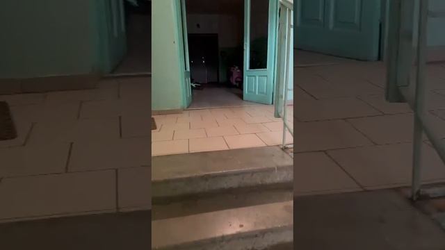 Квартира Пустовойта 6 смотреть онлайн