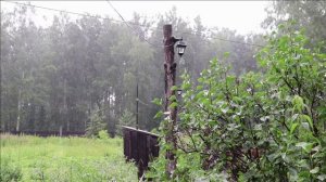 Звуки природы Сибири слушать 3 часа. Дождь и звуки грозы для глубокого отдыха