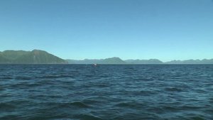 Русская Америка, байдарочное-пешая экспедиция на Аляску, остров Кадьяк (Анкоридж).