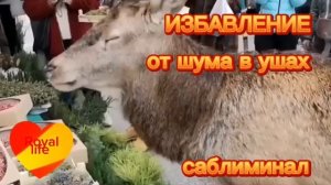 Победи шум в ушах и голове с помощью этого саблиминала - скрытых позитивных аффирмаций  !
