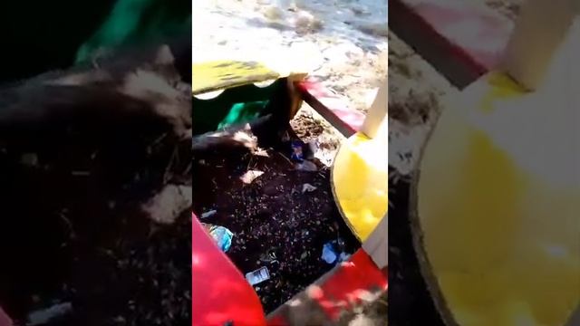 Детская площадка в Октябрьске превращается в свалку смотреть онлайн