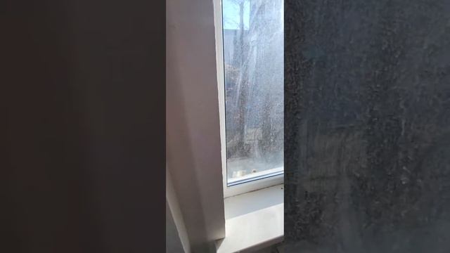 Улица Пушкинская третий этаж, комнат две. смотреть онлайн