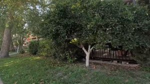 Турция 2024. СТОИТ ли ЕХАТЬ⁉️Miramor Garden 4*. МОРЕ ПЛЯЖ ПИТАНИЕ ШОПИНГ. Кемер сейчас