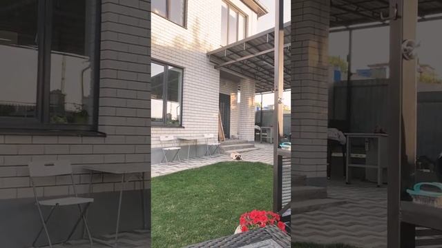 МАМА Отличника ! Начинаю СОБИРАТЬ ДОНАТЫ! #мамаотличника #донаты