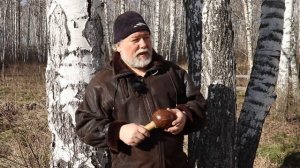 Гармонизация. Шаманская погремушка