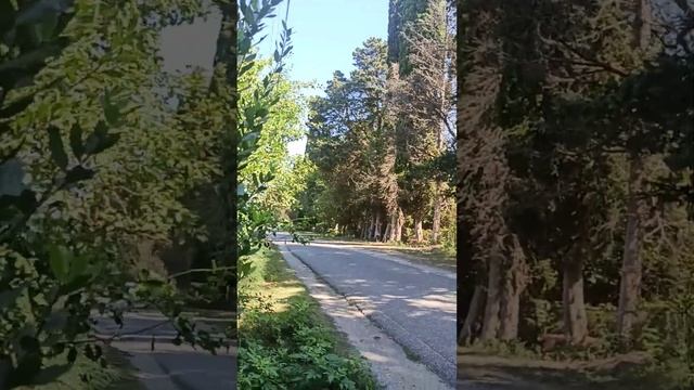 продам участок в Алахадзы 15соток +18 соток #абхазия #недвижимость #горы #река 🚣 #моря смотреть онлайн