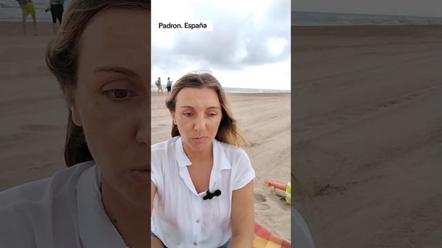 Что такое Padrón в Испании. Для чего и как его сделать ?