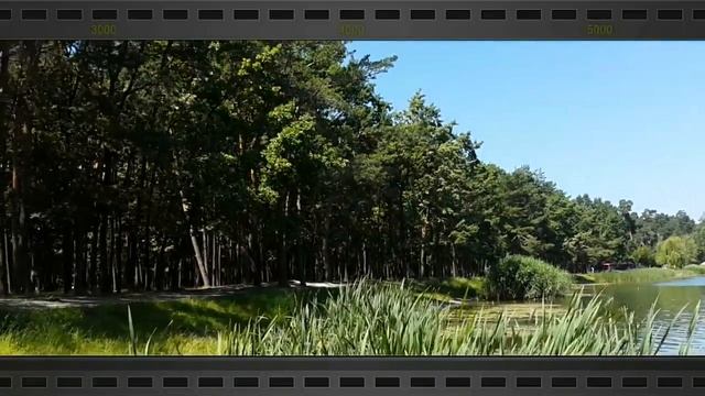 Лето,Дарница. смотреть онлайн