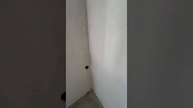 Студия ЖК 2 Адмирала #недвижимостьуморя