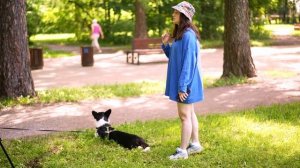 КАК ВЫБРАТЬ ЩЕНКА? Нюансы выбора породы, заводчика и щенка